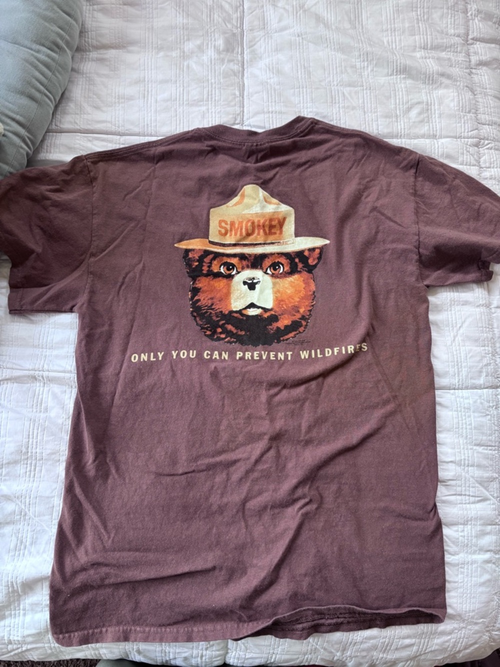 Gildan Smokey Bear Graphic Tee - Brown